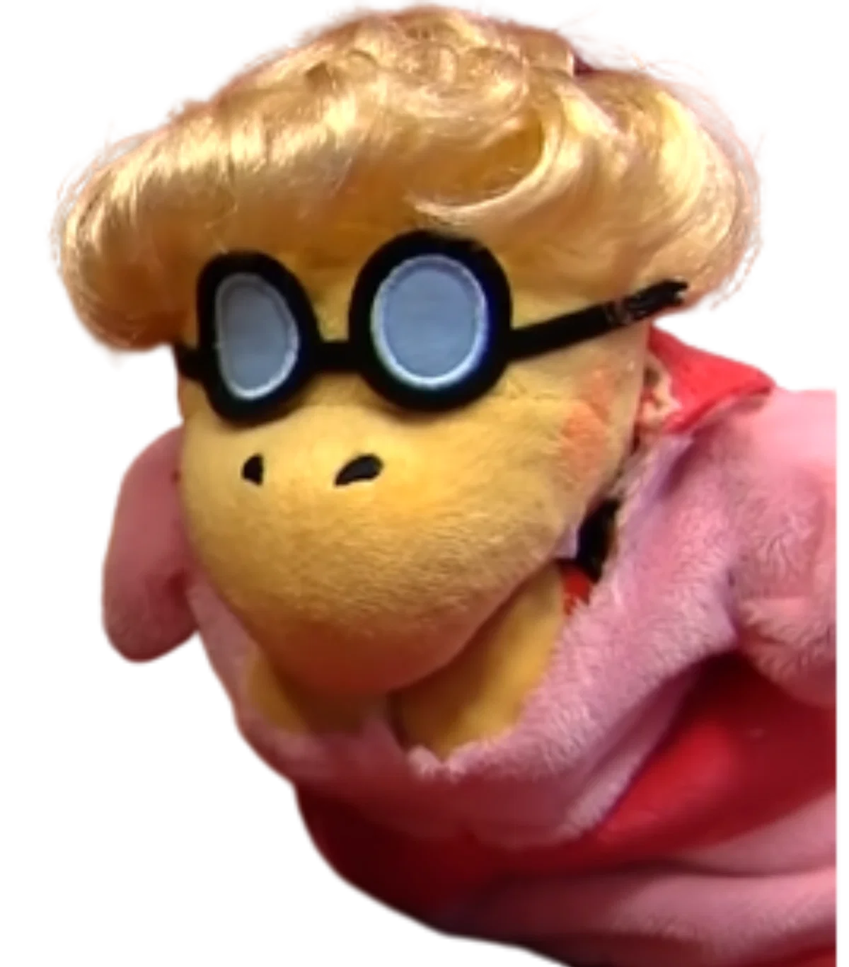 Cody