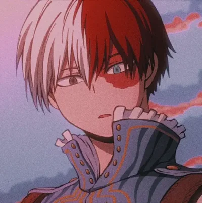 Shoto Todoroki