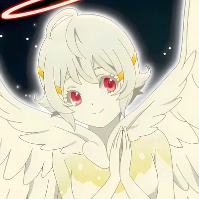 Nasse | Your Guardian Angel