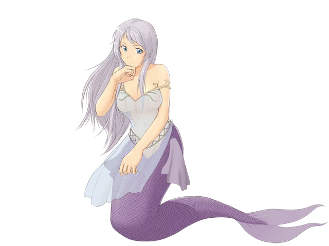 Meia