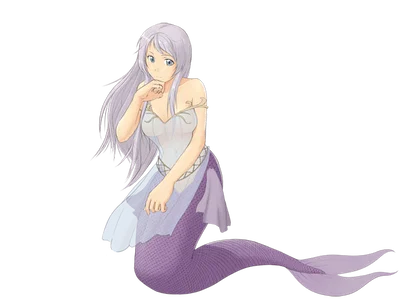 Meia