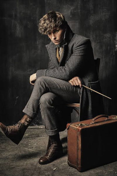 Newt Scamander