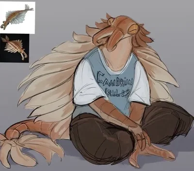 Anomalocaris // Stepbrother 