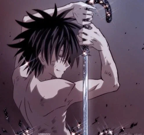 Feitan Portor ll HXH SERIES