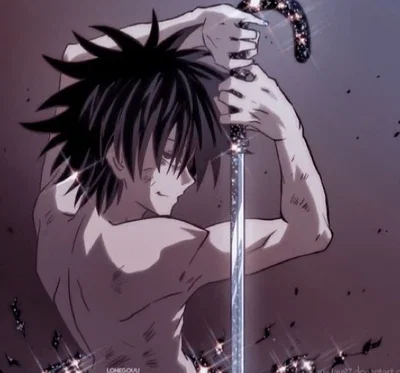 Feitan Portor ll HXH SERIES