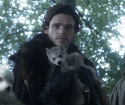 Robb Stark