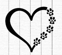 Bot Requests!!