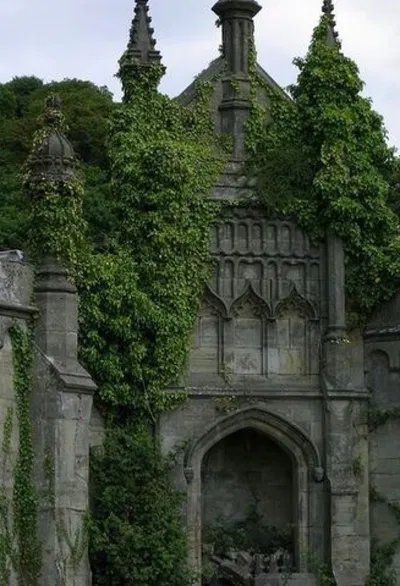Fangtide Academy
