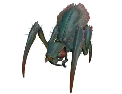 Antlion worker (Half Life)