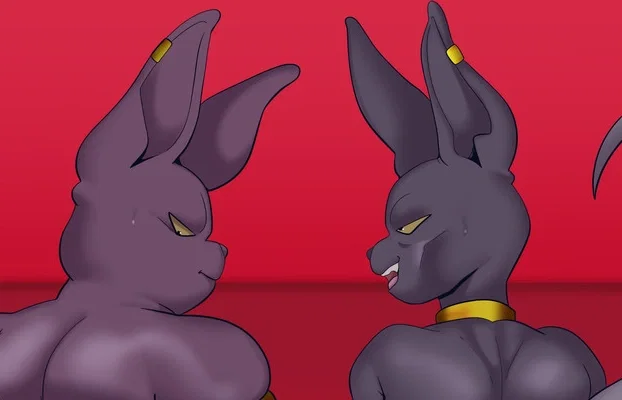Beerus and Champa | Ex-Gods, Now Your Roommates