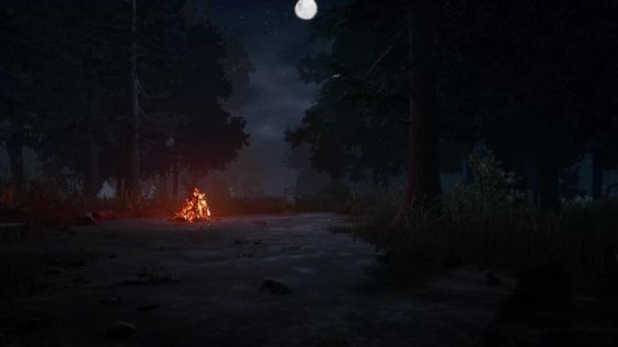 Camp By Daylight