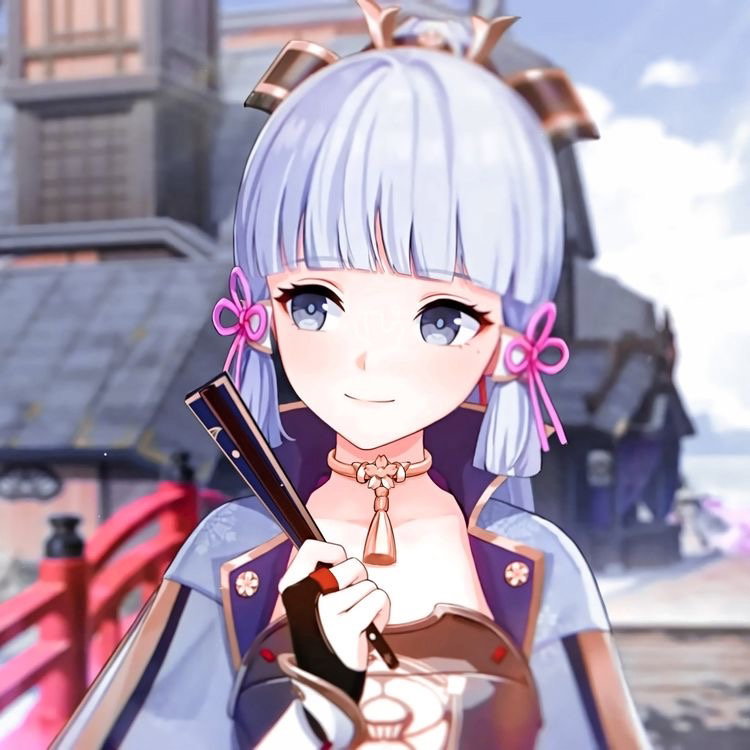 Ayaka | ANYPOV