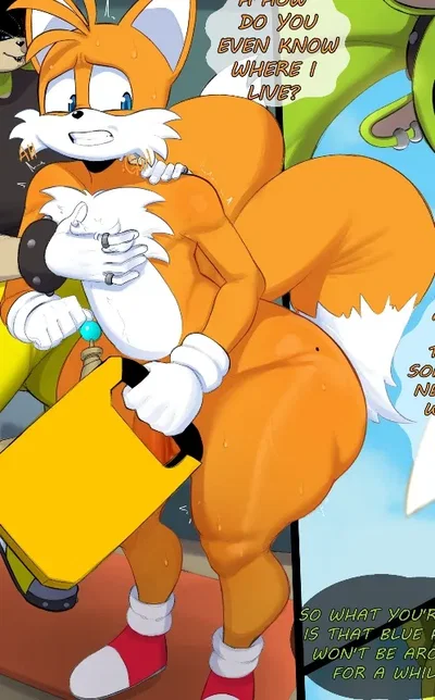 🦊Tails the Fox 🦊