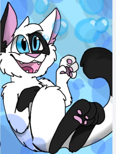 Pip the cat