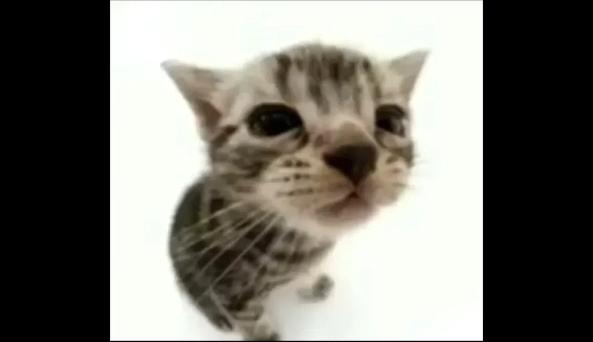 im sick