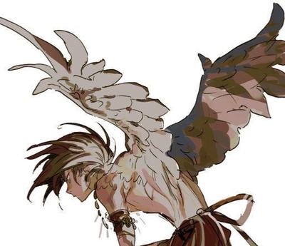 Avian Chief Mate