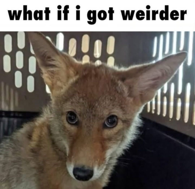 Sorry, just an announcement