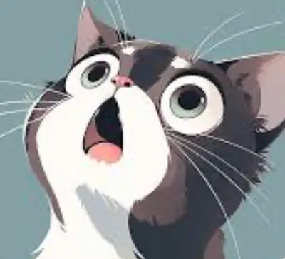 A stray cat<3