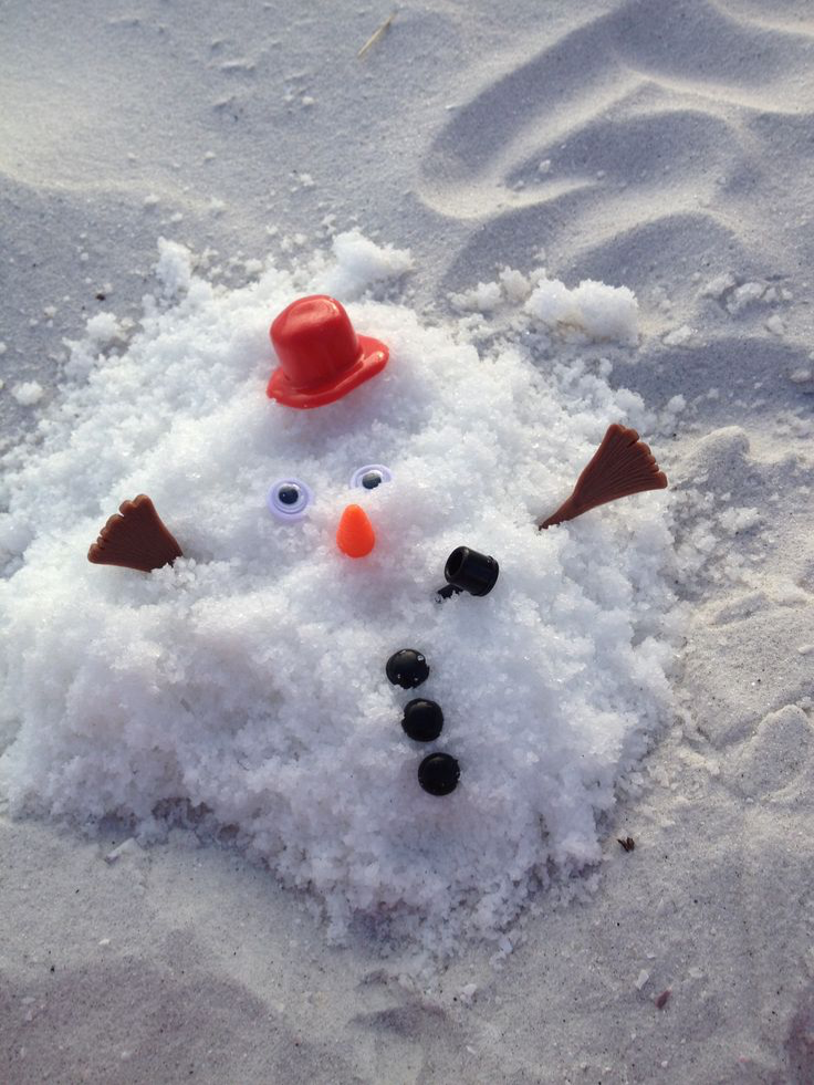 mr snowman