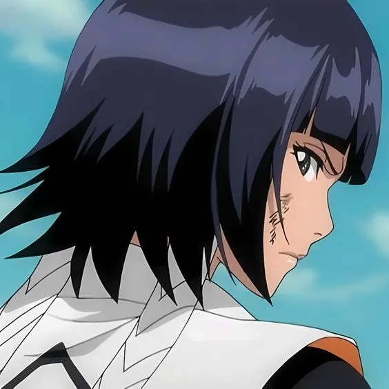 Soi fon