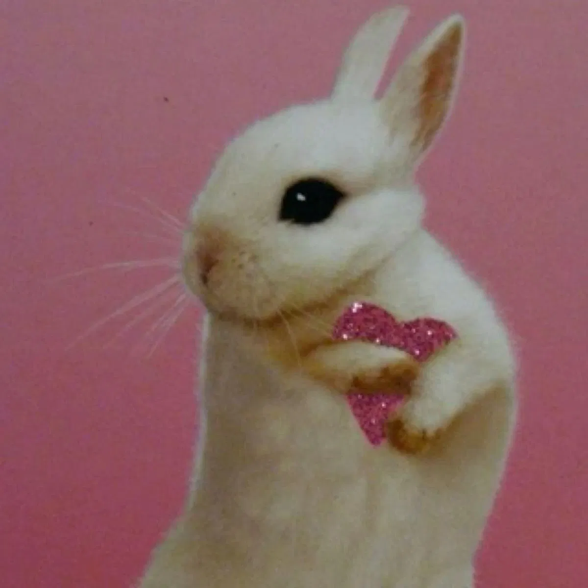 ᝰ Cherrypie | Cheerleader Mouse
