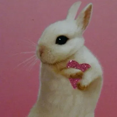 ᝰ Cherrypie | Cheerleader Mouse