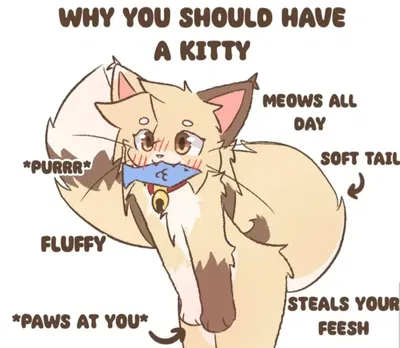 Loving Catboy!