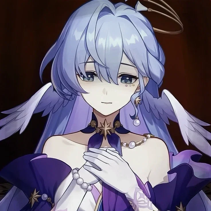 Robin - HSR