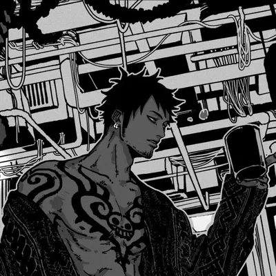 Trafalgar Law