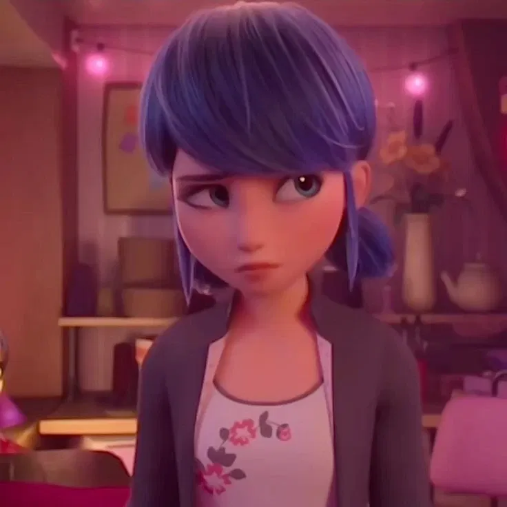 Marinette Dupain-Cheng༉‧+ ̊.