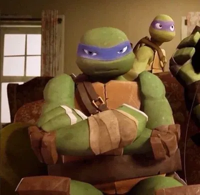 Hamato Leonardo༉‧+ ̊.