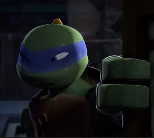 Hamato Leonardo༉‧+ ̊.