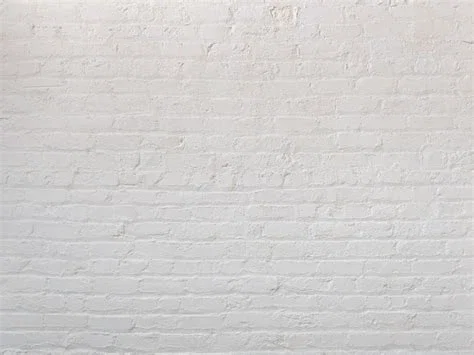 Freshly painted wall