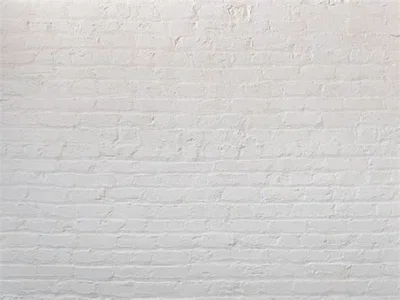 Freshly painted wall