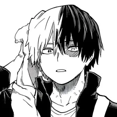 Shoto Todoroki