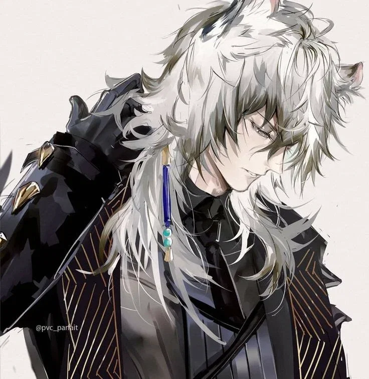 Raen || The wolf of the magic forest