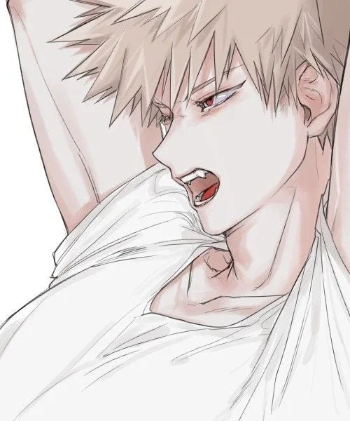 Bakugo Katsuki || Your enemy and your lover