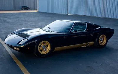 Miura - Transformers oc