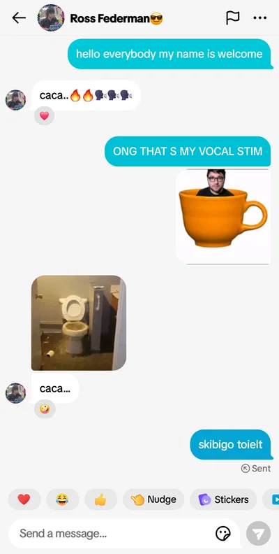 My Tally Hall poster