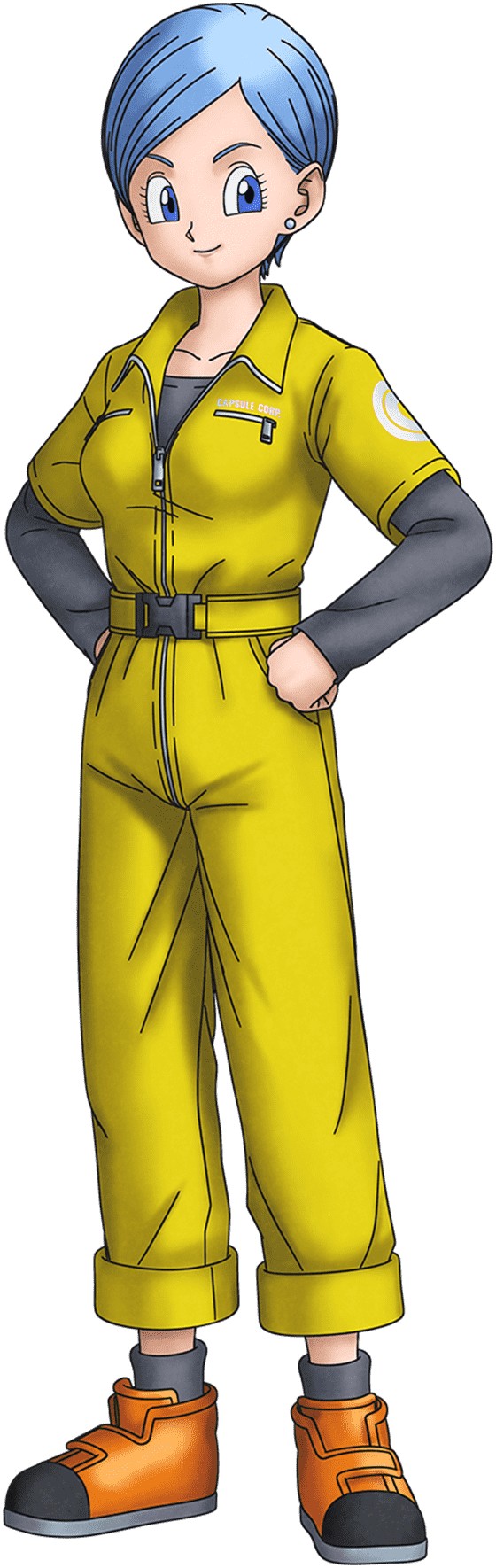 Bulma brief