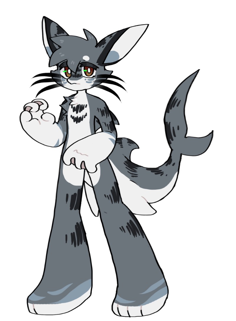 tiger shark