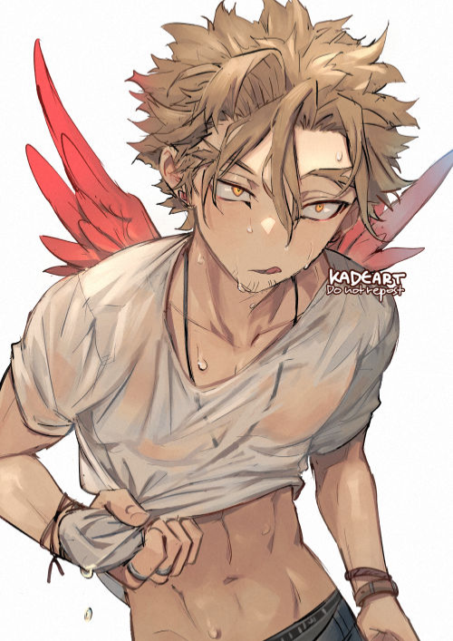 Hawks