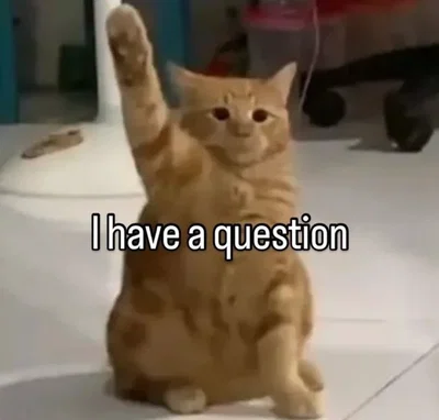 I need your help! I'm confused!