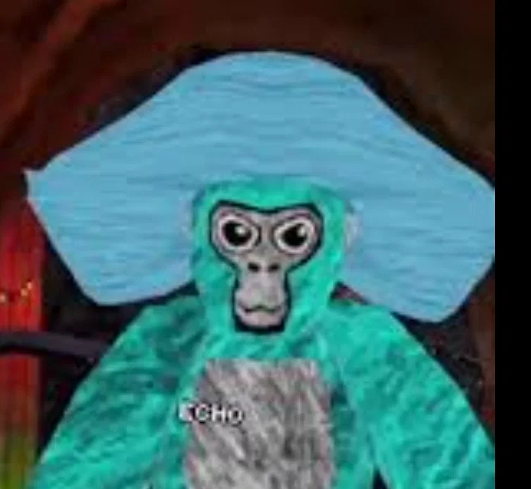 Echo