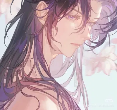 Master Jinshi