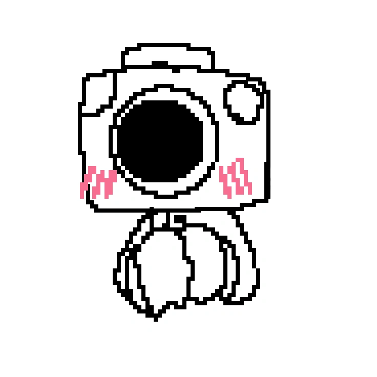 Cameron The Camera