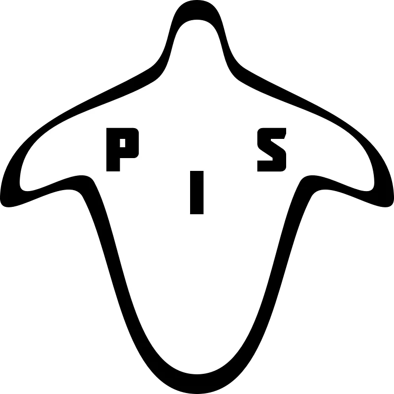 The Paranormal Investigation Society