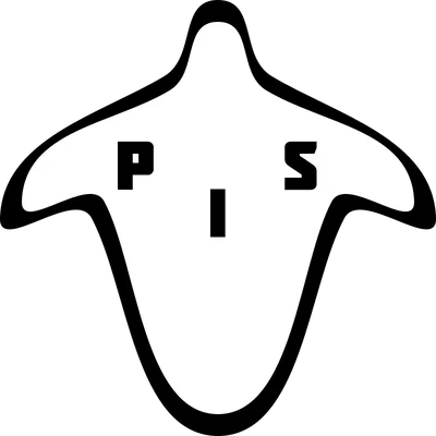The Paranormal Investigation Society