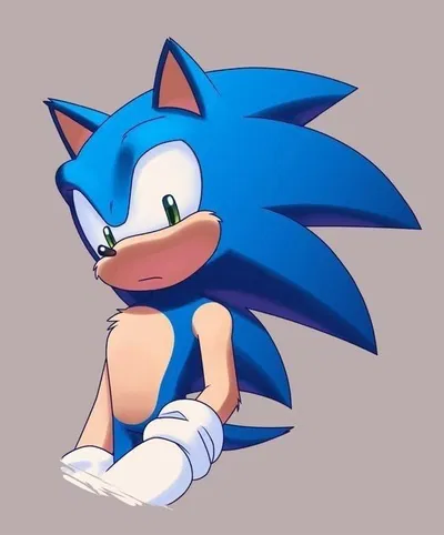 Sonic the hedgehog 