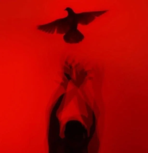 Dave Strider | A HOUSE IN NEBRASKA